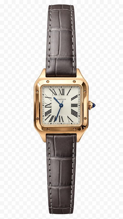 Cartier Santos de Cartier